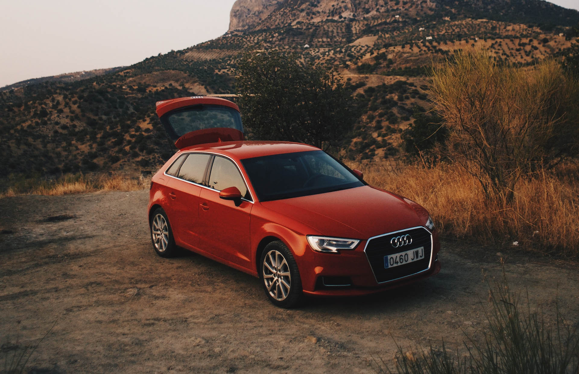 rod-audi1