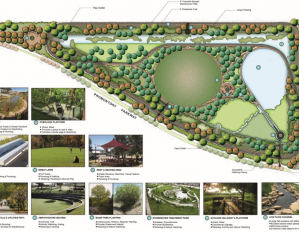 cordes-ranch-landscape-samples-arroyo-park