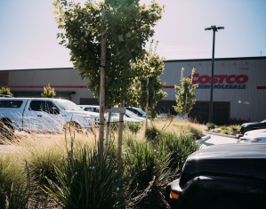 costco-planning-image