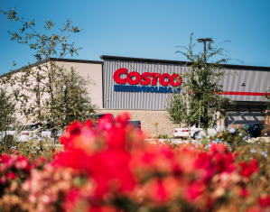 costco-project