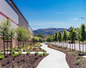 costco-ukiah-landscape