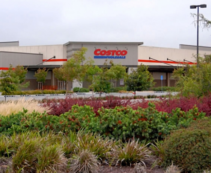 Costco storefront with plants and trees in front