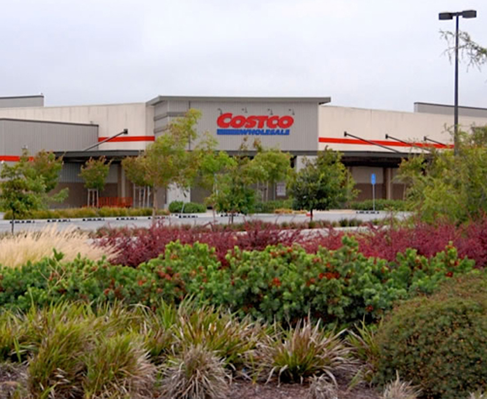 Costco storefront with plants and trees in front