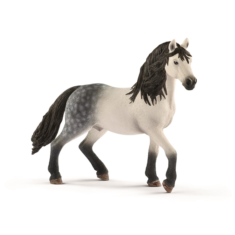 andalusian-stallion