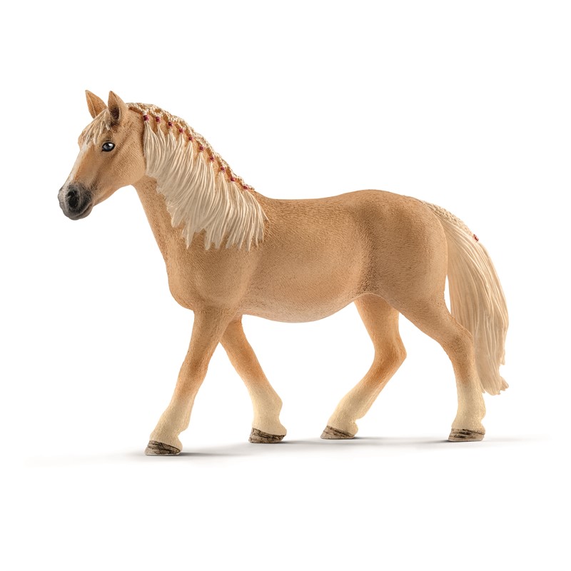 haflinger-mare