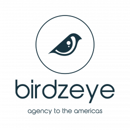 Birdzeye Logo