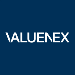 Valuenex Logo