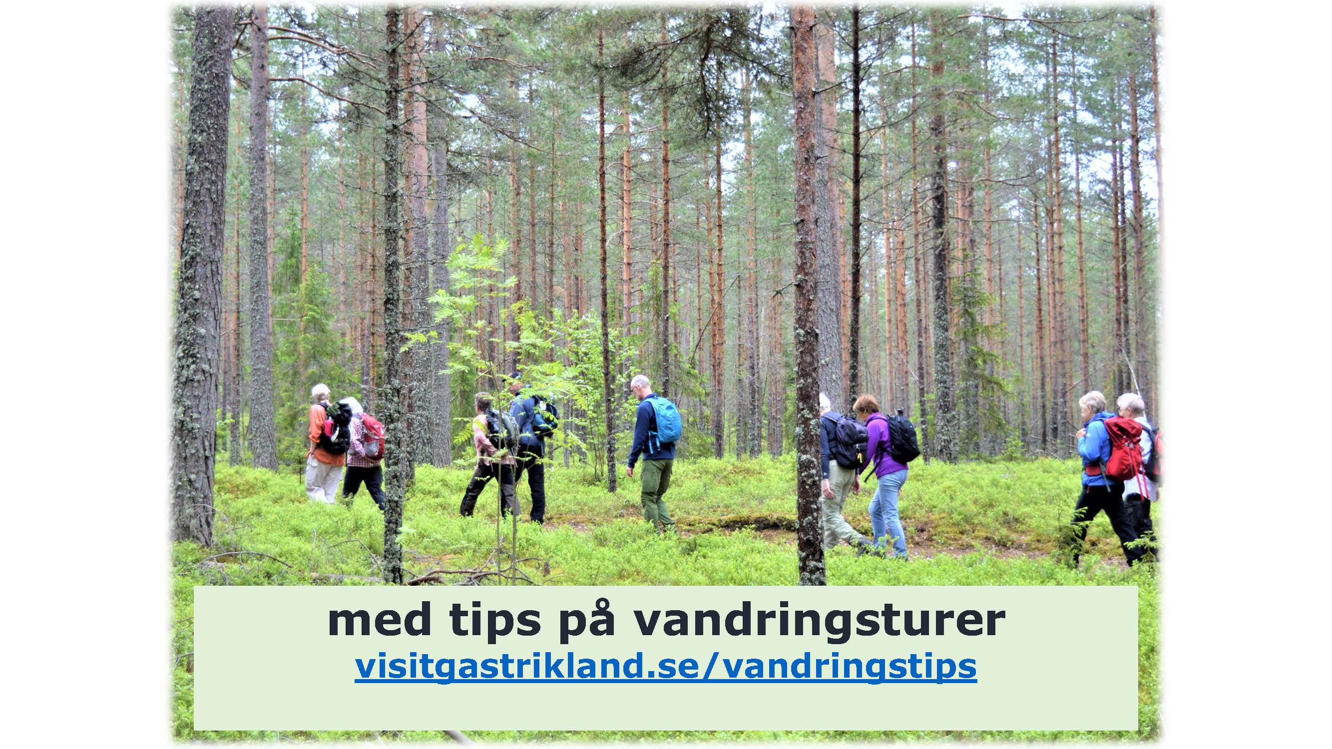 info-om-visit-gastrikland-2_sida_03