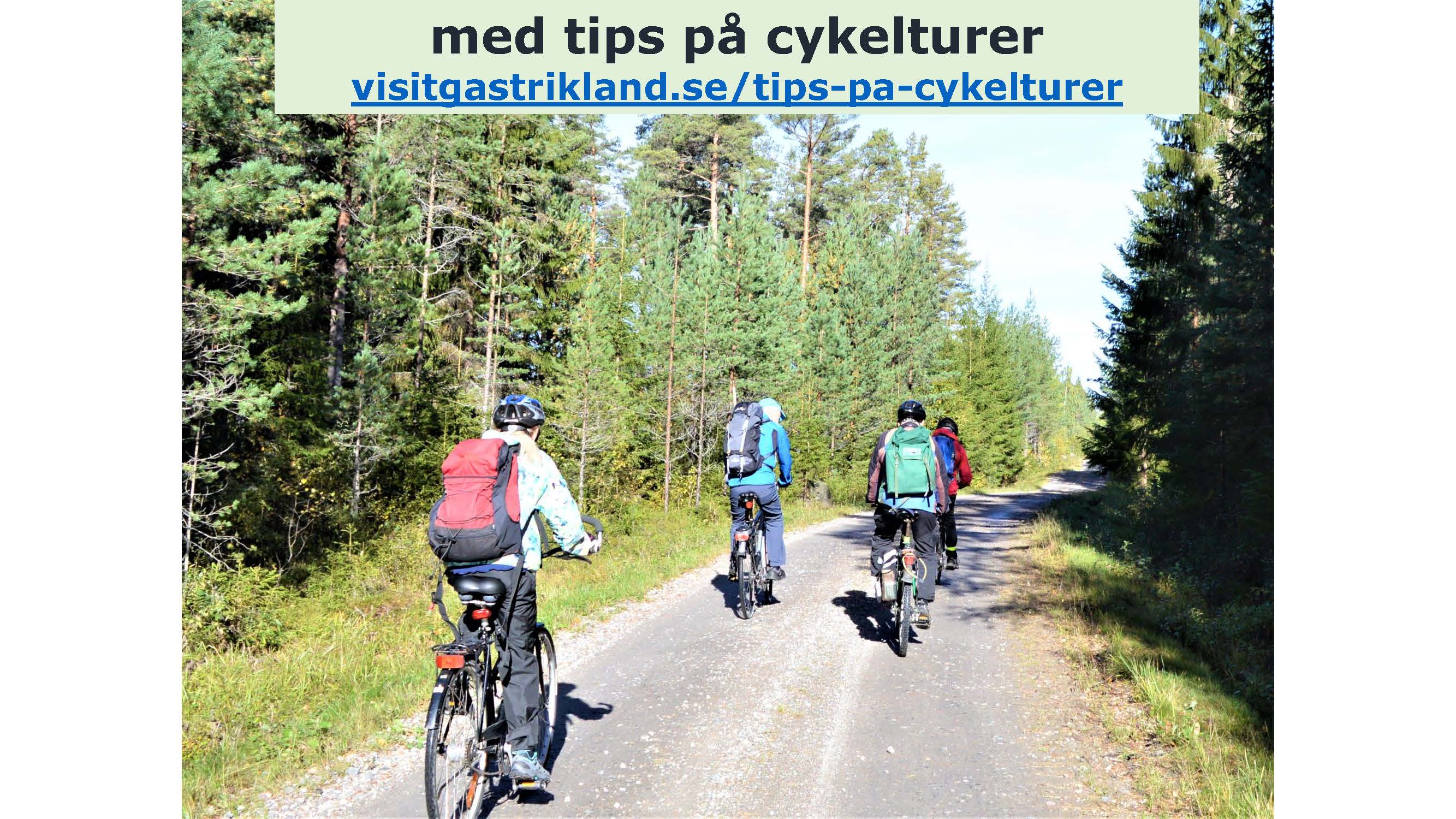 info-om-visit-gastrikland-2_sida_04