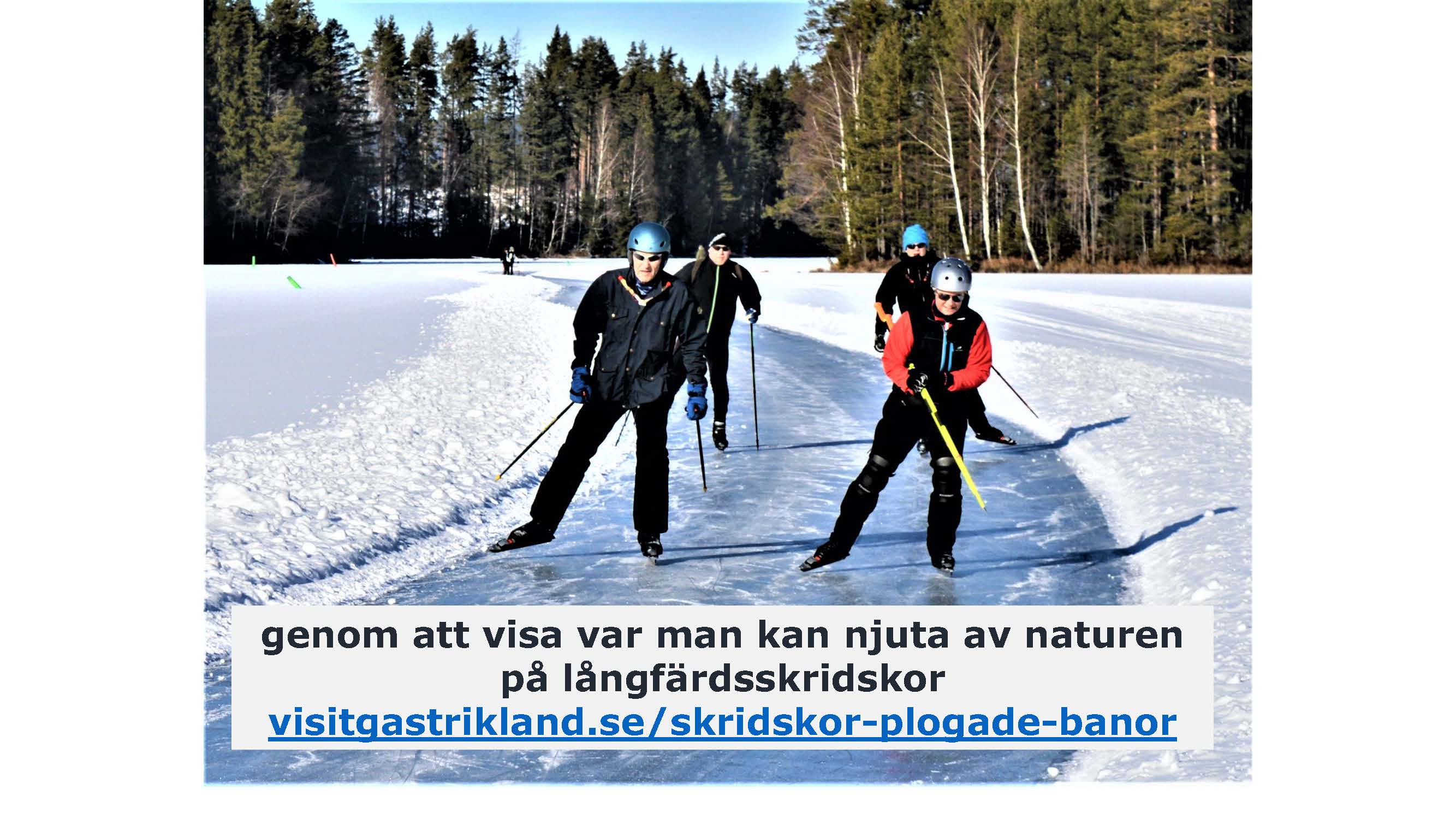 info-om-visit-gastrikland-2_sida_06