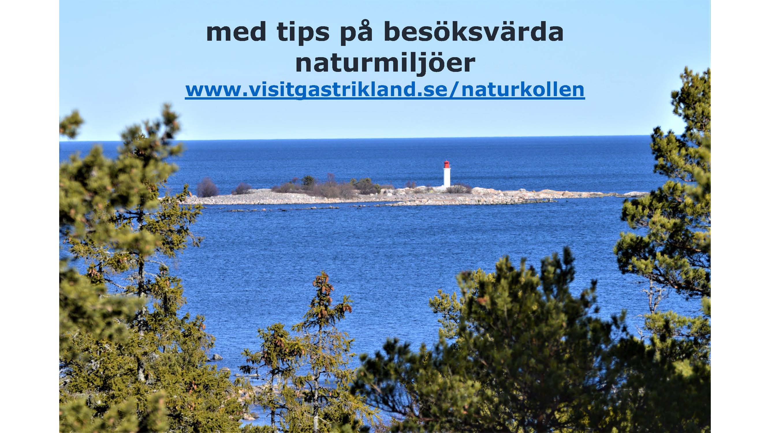 info-om-visit-gastrikland-2_sida_08