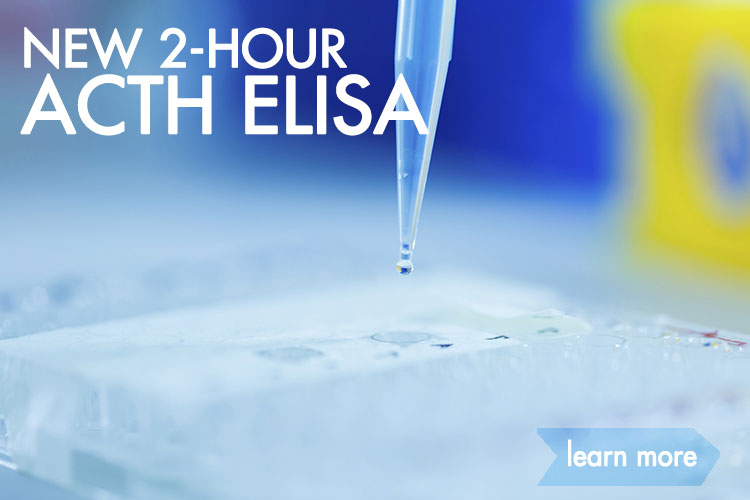 New 2-Hour ACTH ELISA Kit