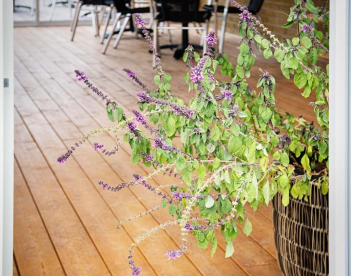 rivstart_golv_uterum_molkoms_folkhogskola_20191