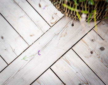 rivstart_veranda_molkoms_folkhogskola_20191